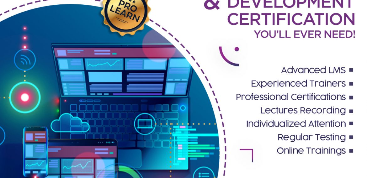 Web Designing and Development Certification Program